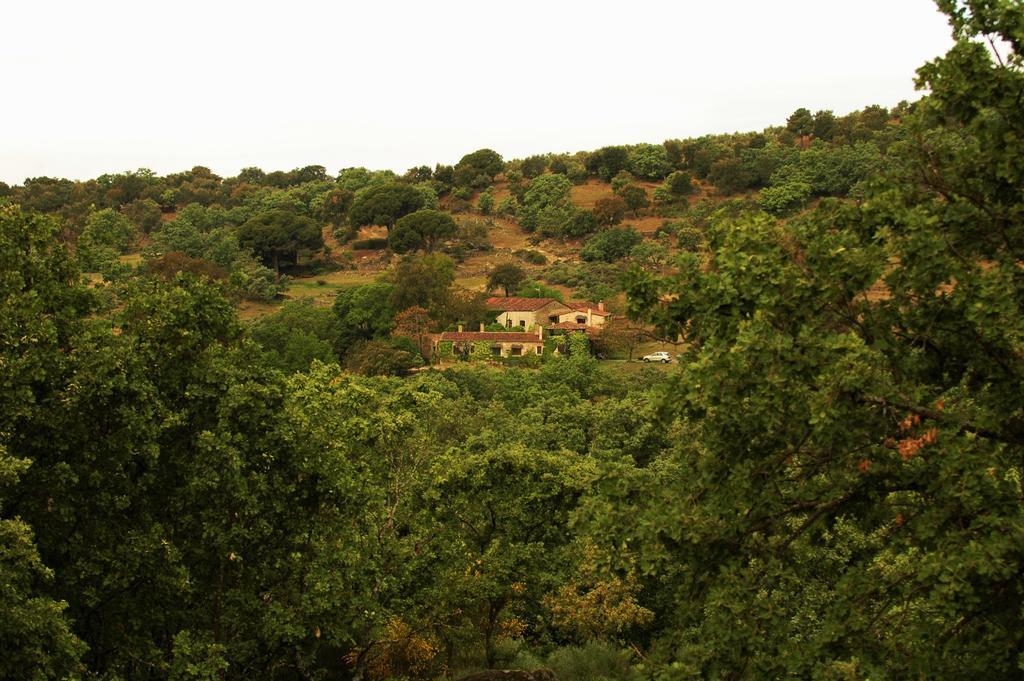 Casa Rural El Cabezo Сан-Мартин-де-Тревехо Экстерьер фото