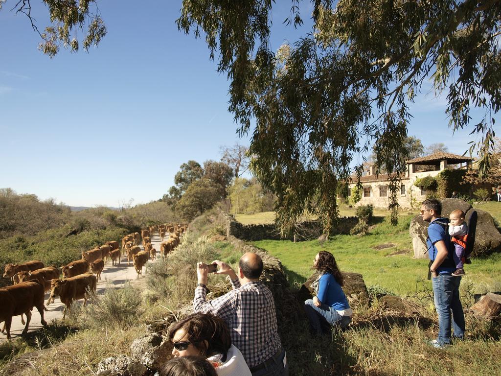 Casa Rural El Cabezo Сан-Мартин-де-Тревехо Экстерьер фото